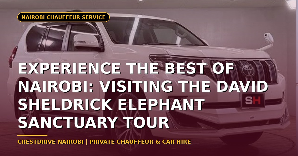 Experience the Best of Nairobi: Visiting the David Sheldrick Elephant Sanctuary Tour