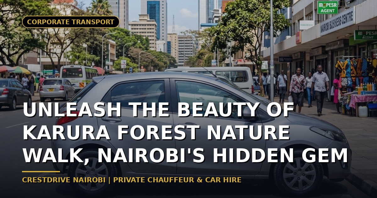 Unleash the Beauty of Karura Forest Nature Walk, Nairobi's Hidden Gem
