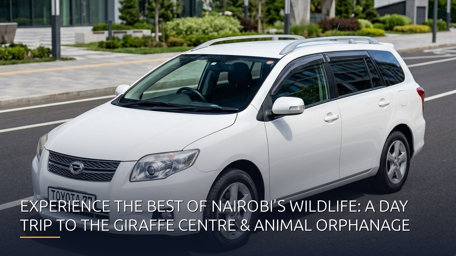 Experience the Best of Nairobi's Wildlife: A Day Trip to the Giraffe Centre & Animal Orphanage
